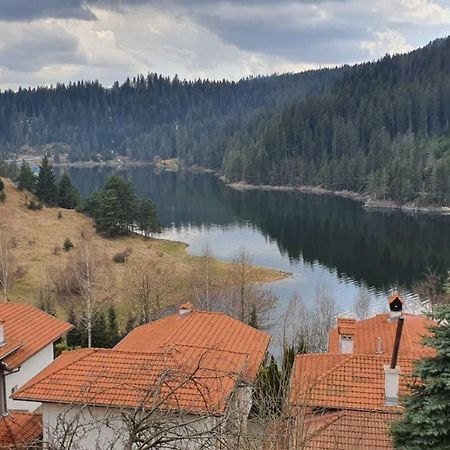 Вила Родопи Dospat Exterior foto